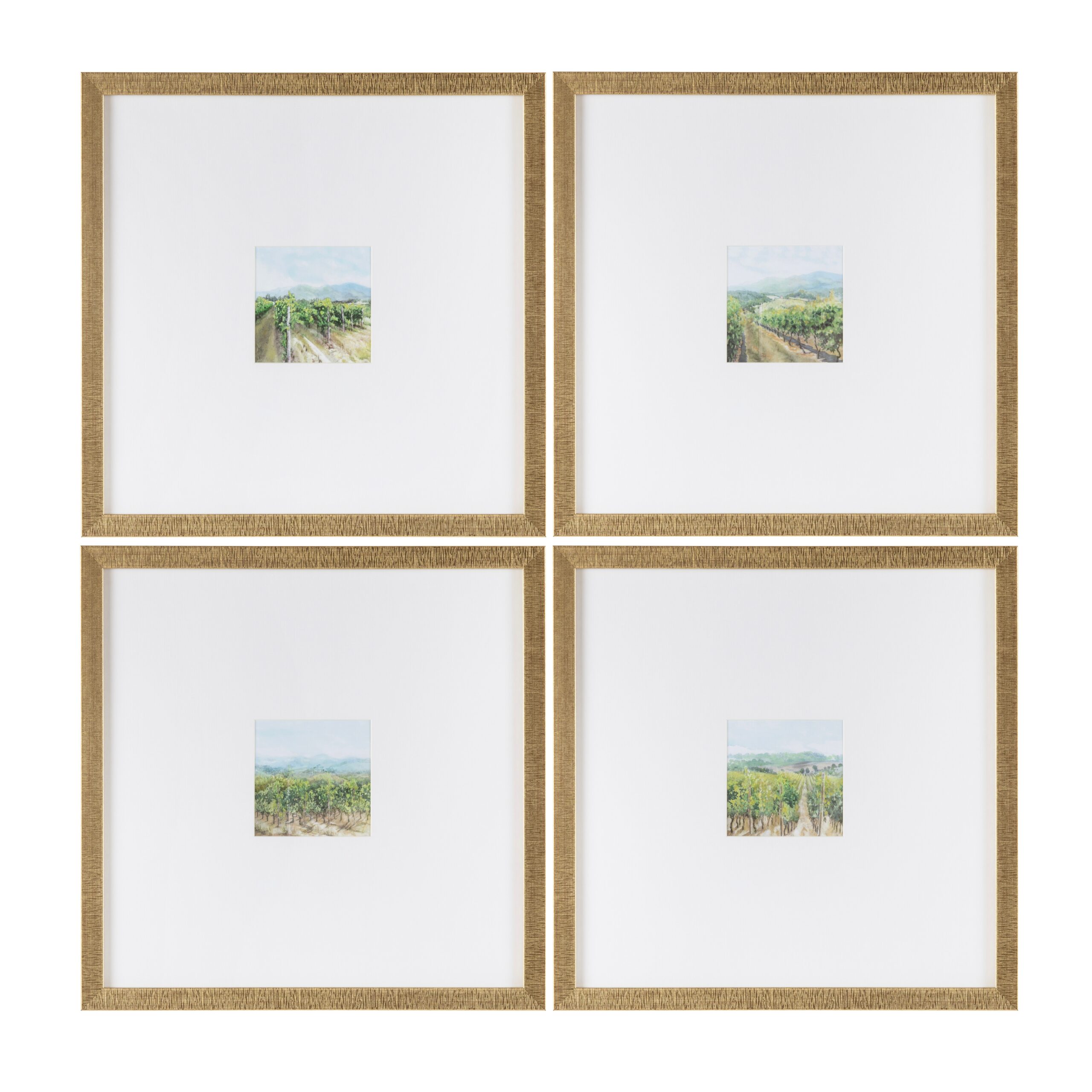 1d8afbff62d8bae49739aae4dbdac63a Vineyards - Image 1